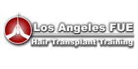 Corsi di restauro dei capelli di Los Angeles